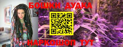 молекула духа Славгород